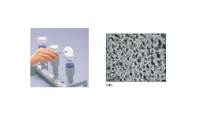 Advantec Polycarbonate (PCTE) Membrane
